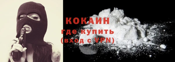 молекула духа Видное