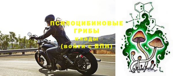 Альфа ПВП Осинники